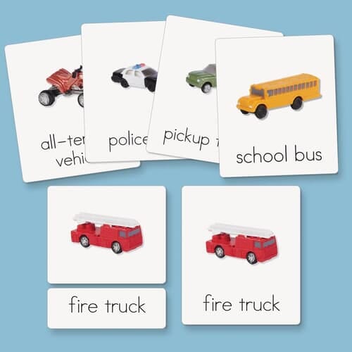 Vocabulary & Reading Cards