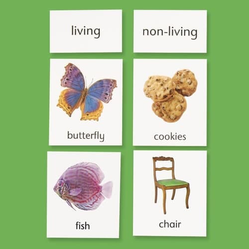 Classifying the Natural World