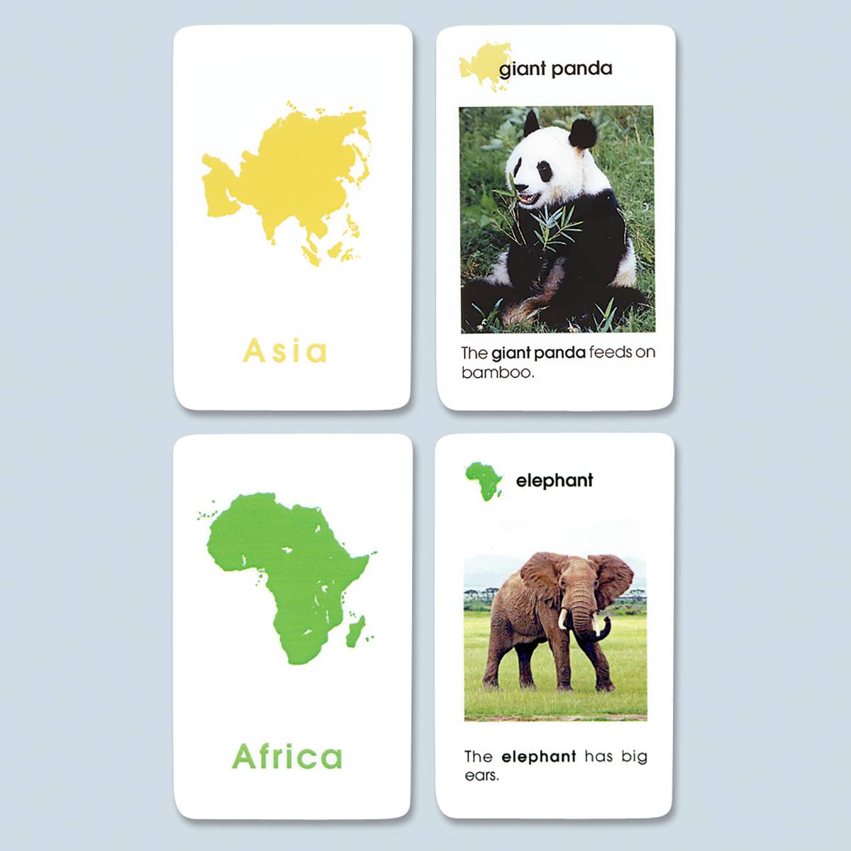 World Mammals Cards - Montessori Services