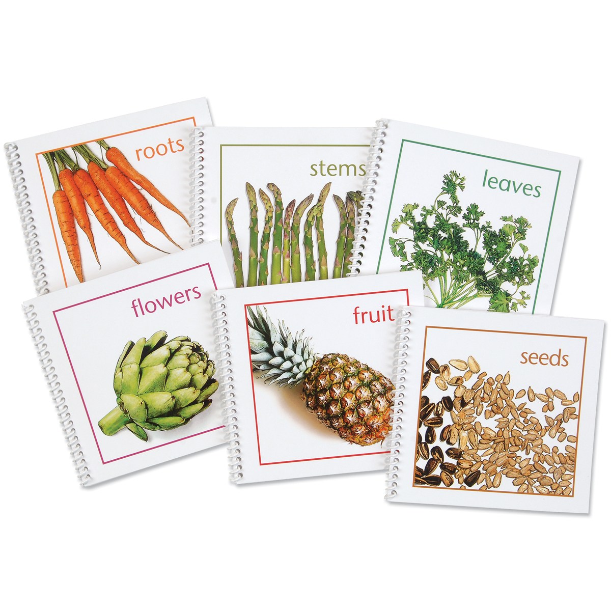 Plants We Eat Complete Set Montessori Services