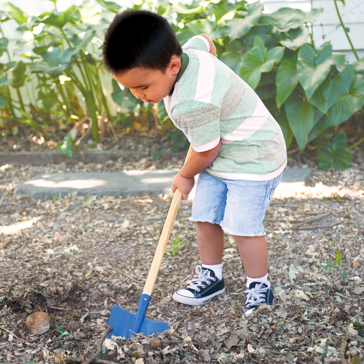 Shovel Montessori Services