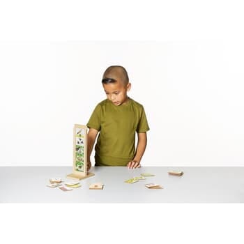 Life Cycle Stand with Wooden Cards