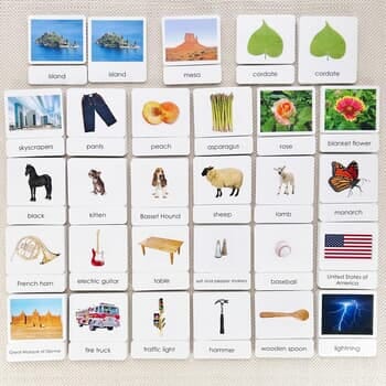 27 Common Nouns 3-Part Reading Classification Card Sets