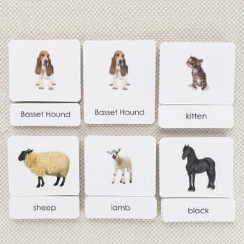 Animal Three-Part Photo Cards - Set of 5