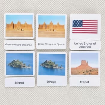 Geography 3-Part Reading Classification Card Set/4
