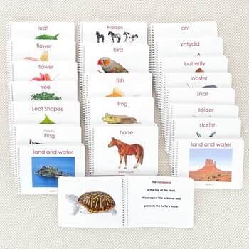 Definition Reading Book Set/21