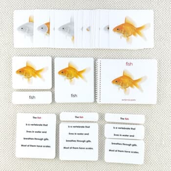 Parts of the Fish Book & Card Set