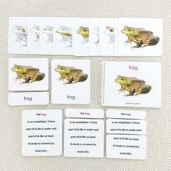 Parts of the Frog Book & Card Set
