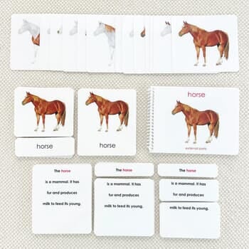 Parts of the Horse Book & Card Set