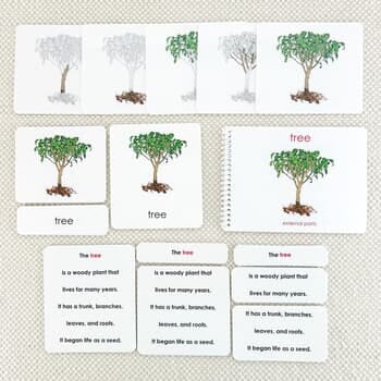 Parts of the Tree Book & Card Set