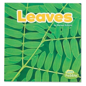 Leaves - Plant Parts