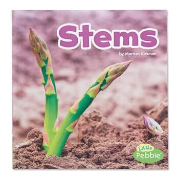 Stems - Plant Parts